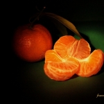 citrus-reticulata