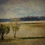 Val d'Orcia - Pienza