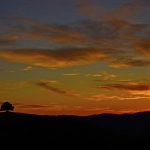 Crete Senesi