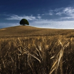 Crete Senesi